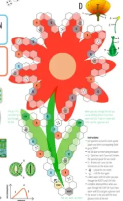 Juego par aprender sobre los nutrientes