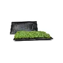 plant_growing_tray-2.webp