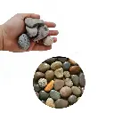 Mini River Stone Deco: Piedra Decorativa Natural para Ambientes Sofisticados