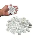 White Stone Deco: Elegancia Natural para Decorar Interiores y Exteriores