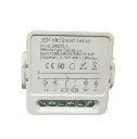 Zigbee Interruptor Smart Switch (2G 10A) (copy)